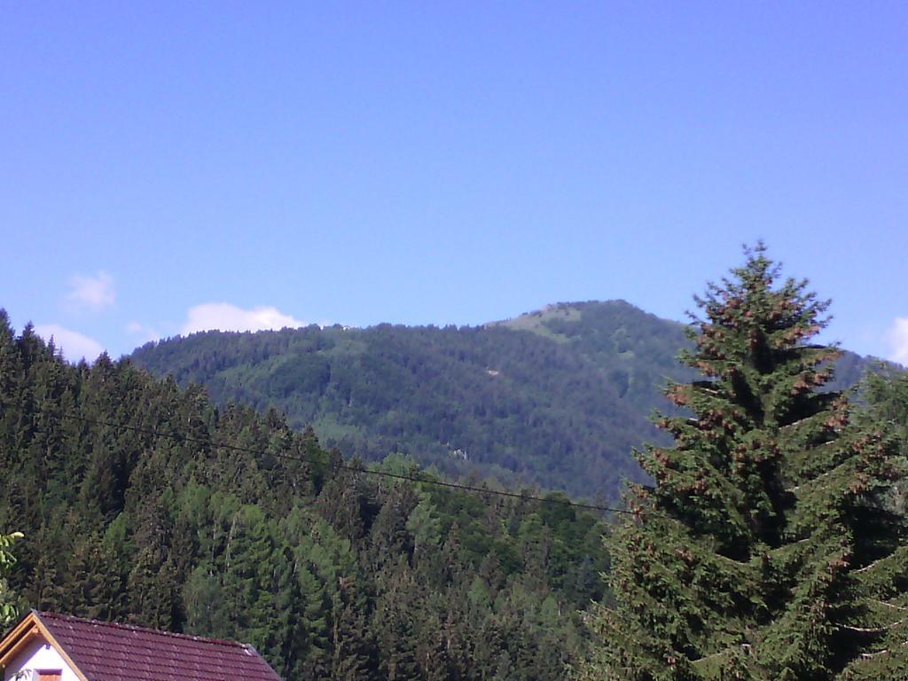 Appartements Zankl Kotschach-Mauthen Esterno foto